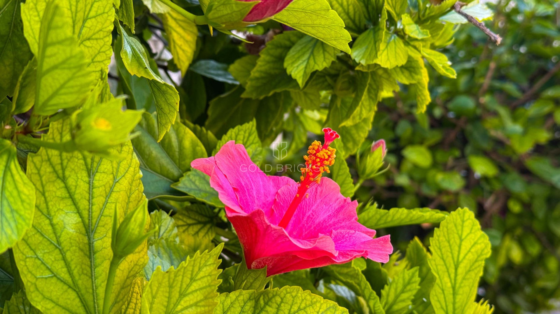 Apartment - Top Floor Apartment · Sale · Torrevieja · Torrevieja Centro