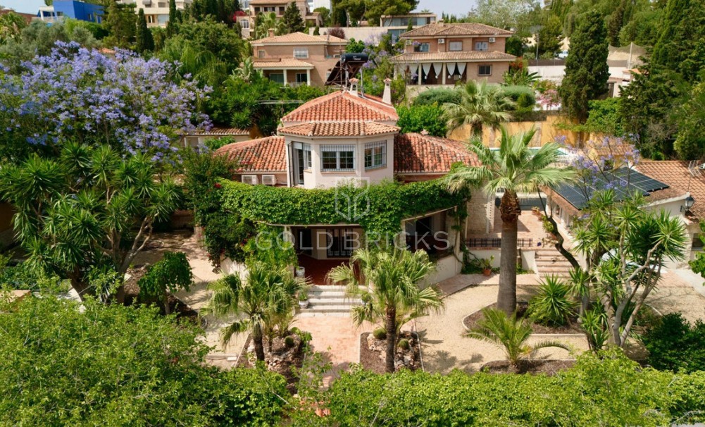  - Återförsäljning - Alicante - RS-45307