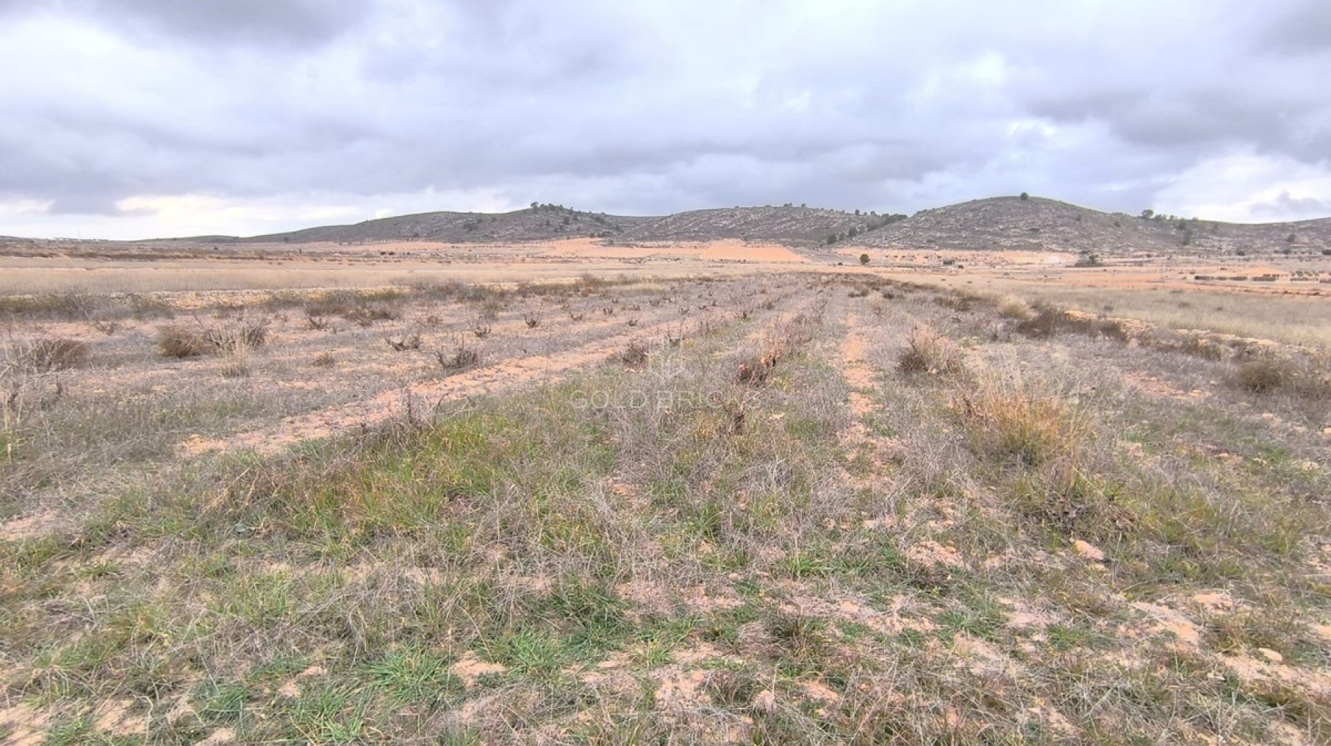  · Återförsäljning · Jalón · La Solana