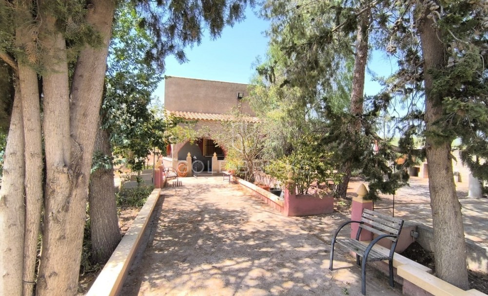  · Återförsäljning · Jumilla · Jumilla Centro