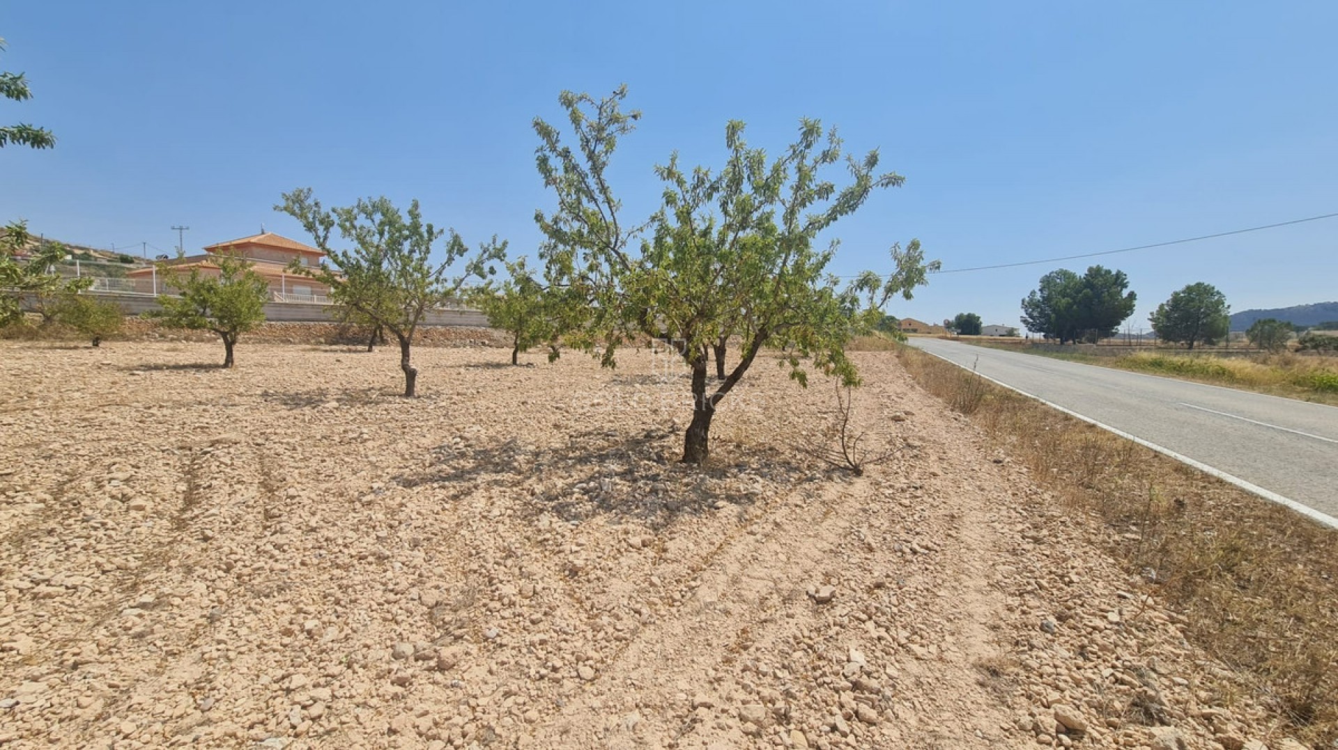  · Återförsäljning · Jumilla · Jumilla Centro