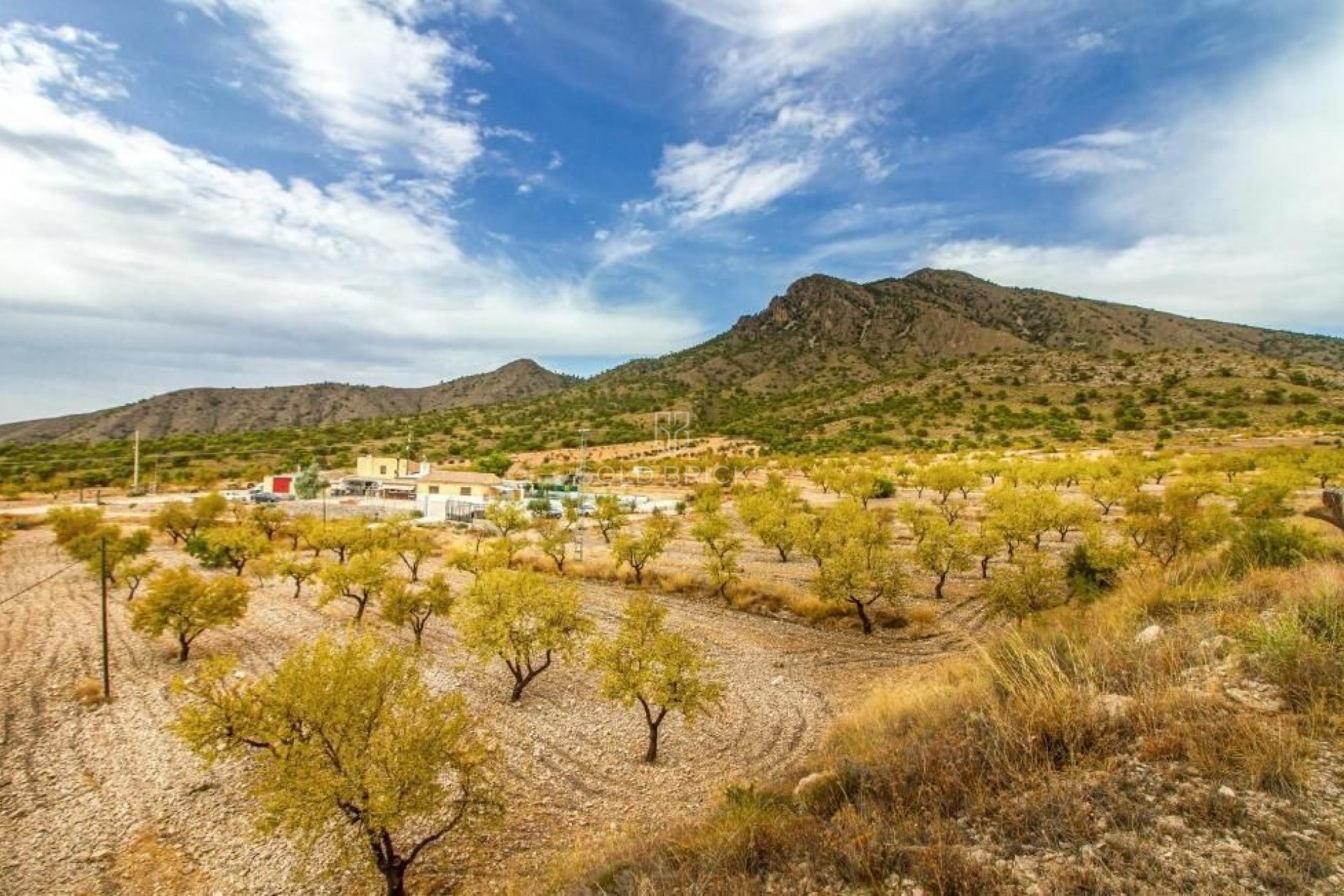 Återförsäljning ·  · Jumilla · Jumilla Centro