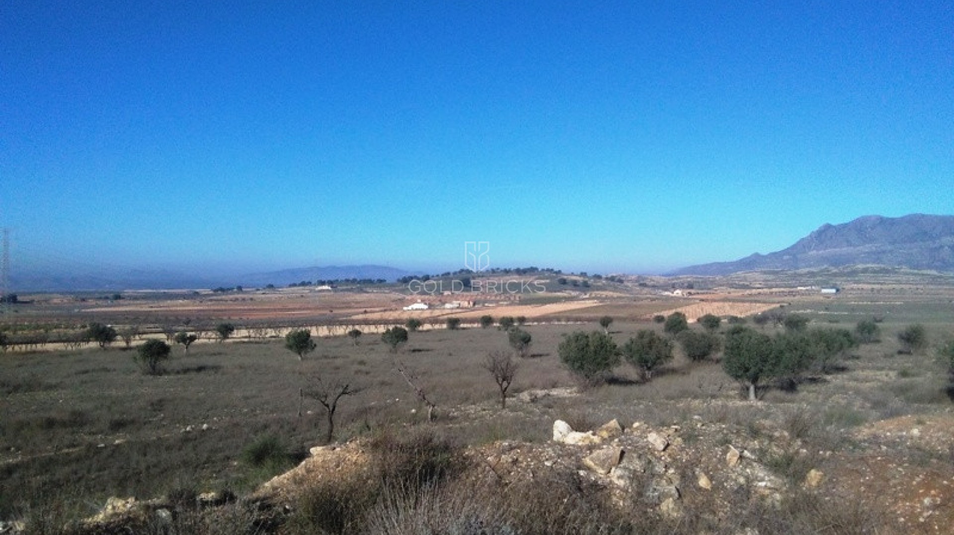  · Återförsäljning · Jumilla · Torre del Rico