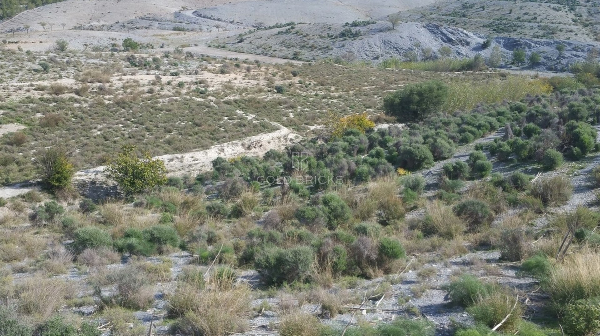  · Återförsäljning · Lorca · Lorca Centro