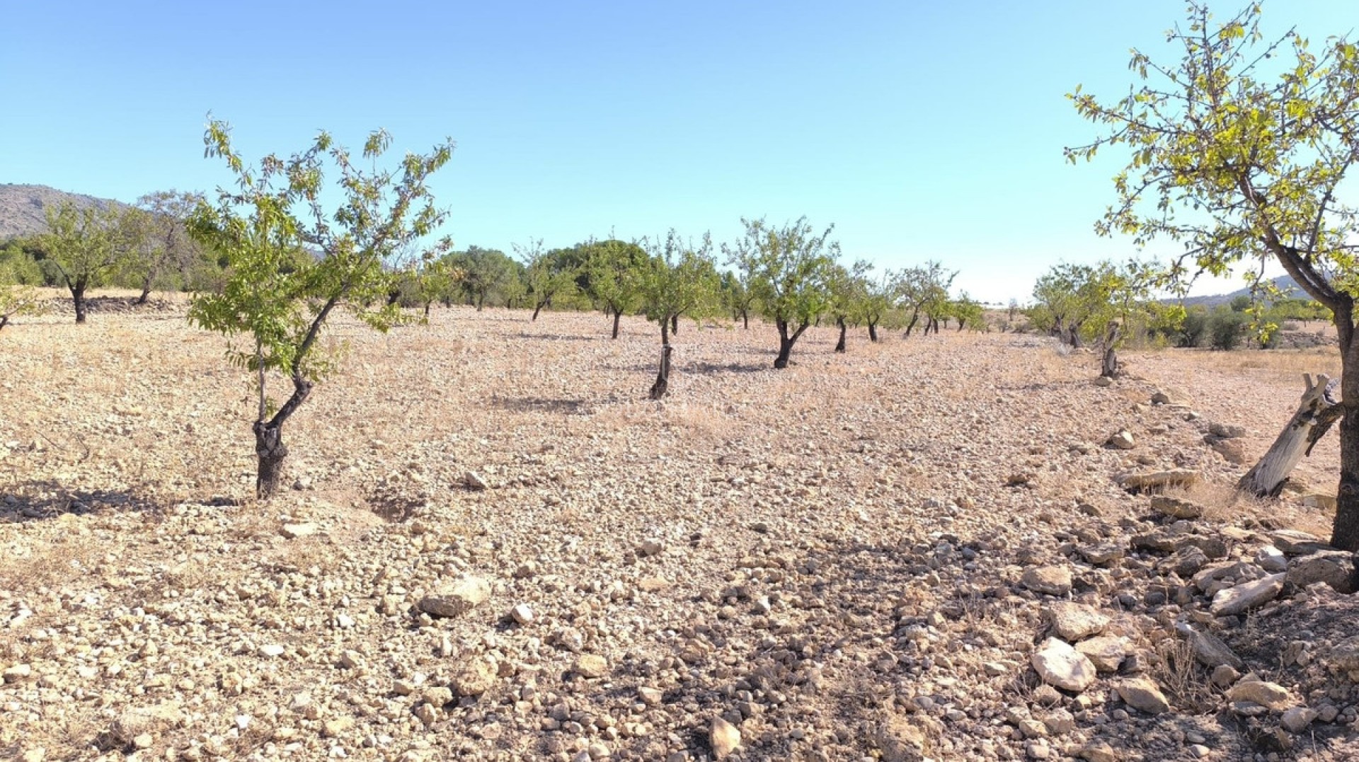  · Återförsäljning · Monóvar - Monòver · Monóvar - Monòver Centro