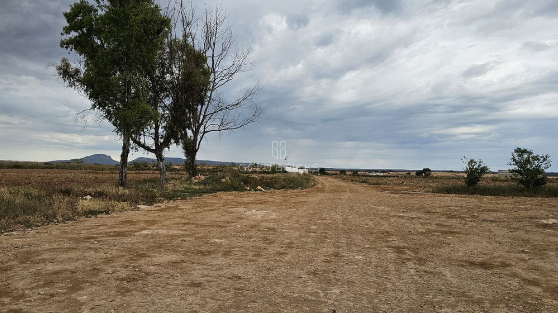  · Återförsäljning · Murcia · Sucina