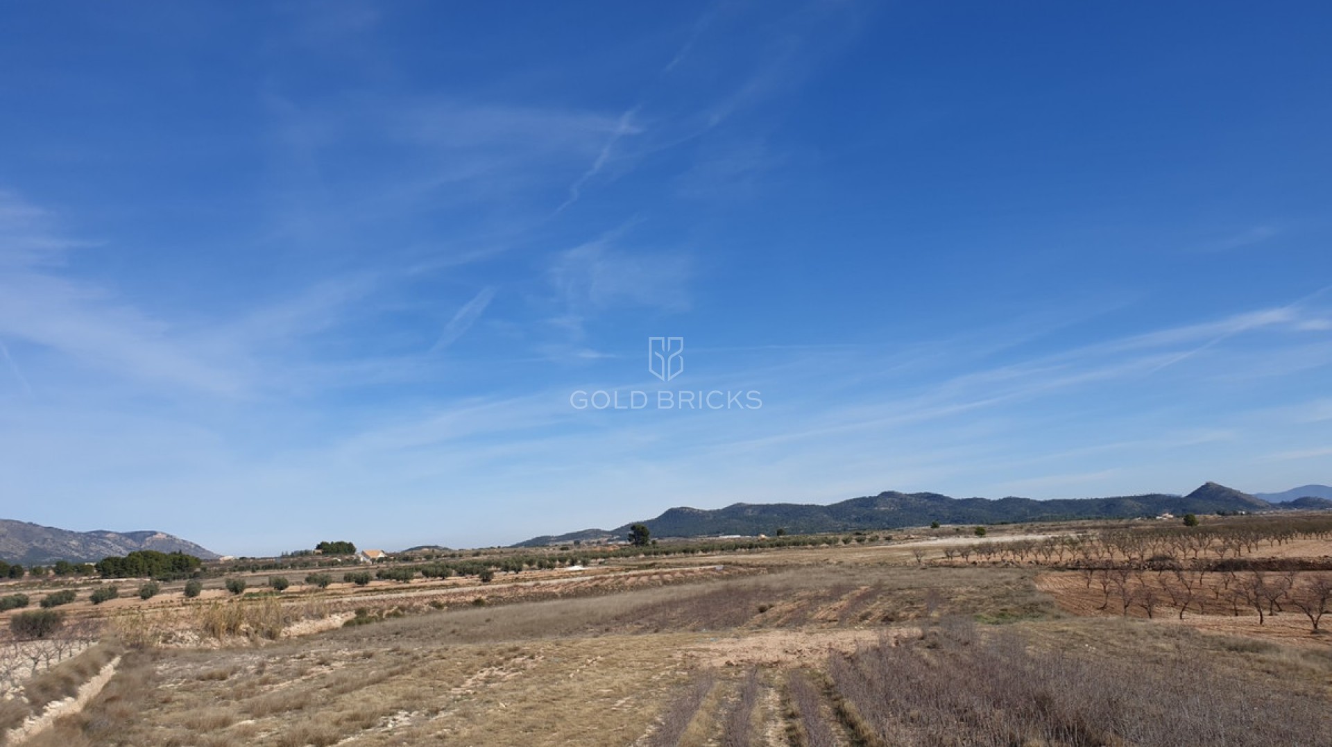  · Återförsäljning · Pinoso · Pinoso Centro