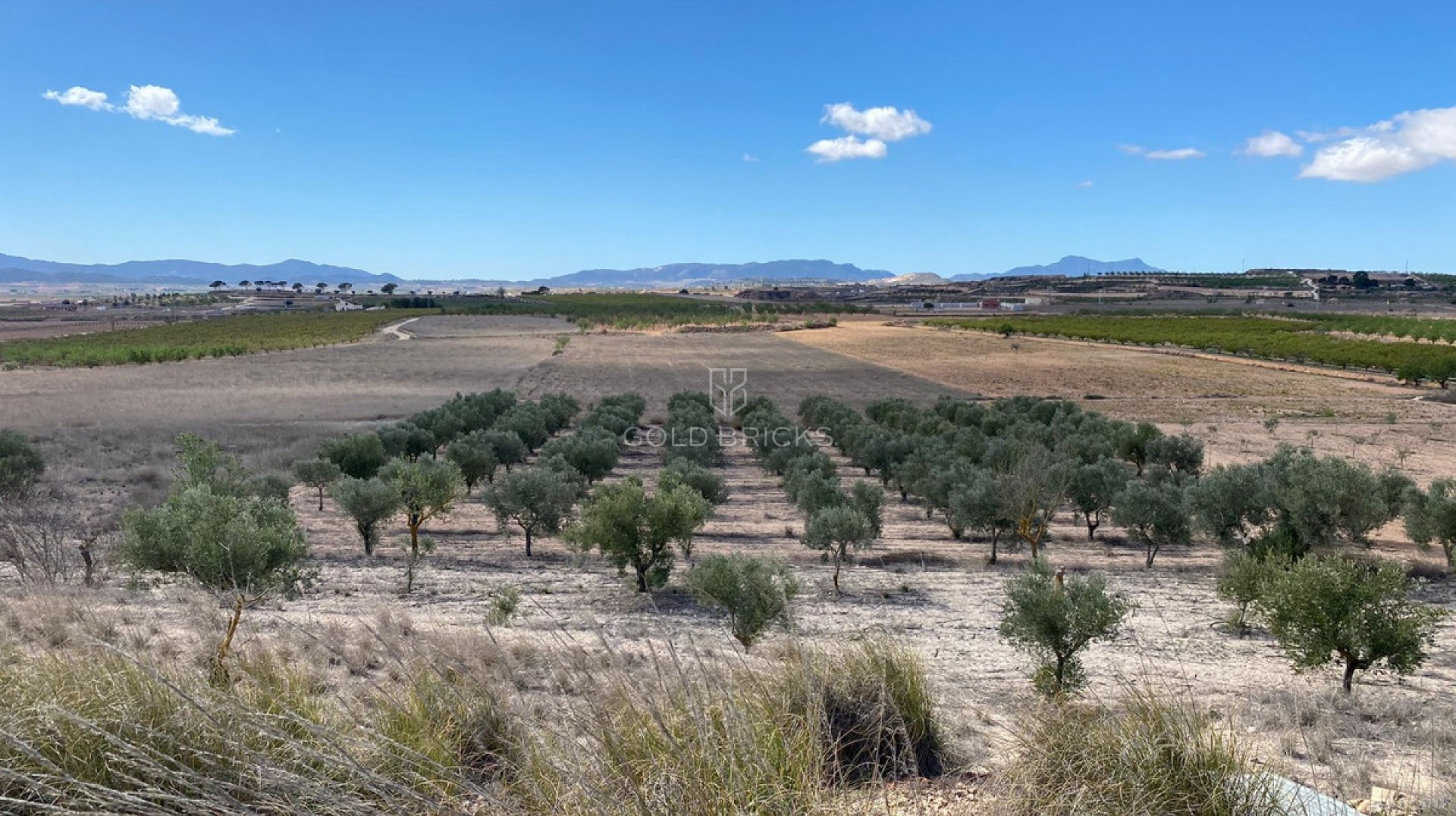  · Återförsäljning · Pinoso · Pinoso Centro