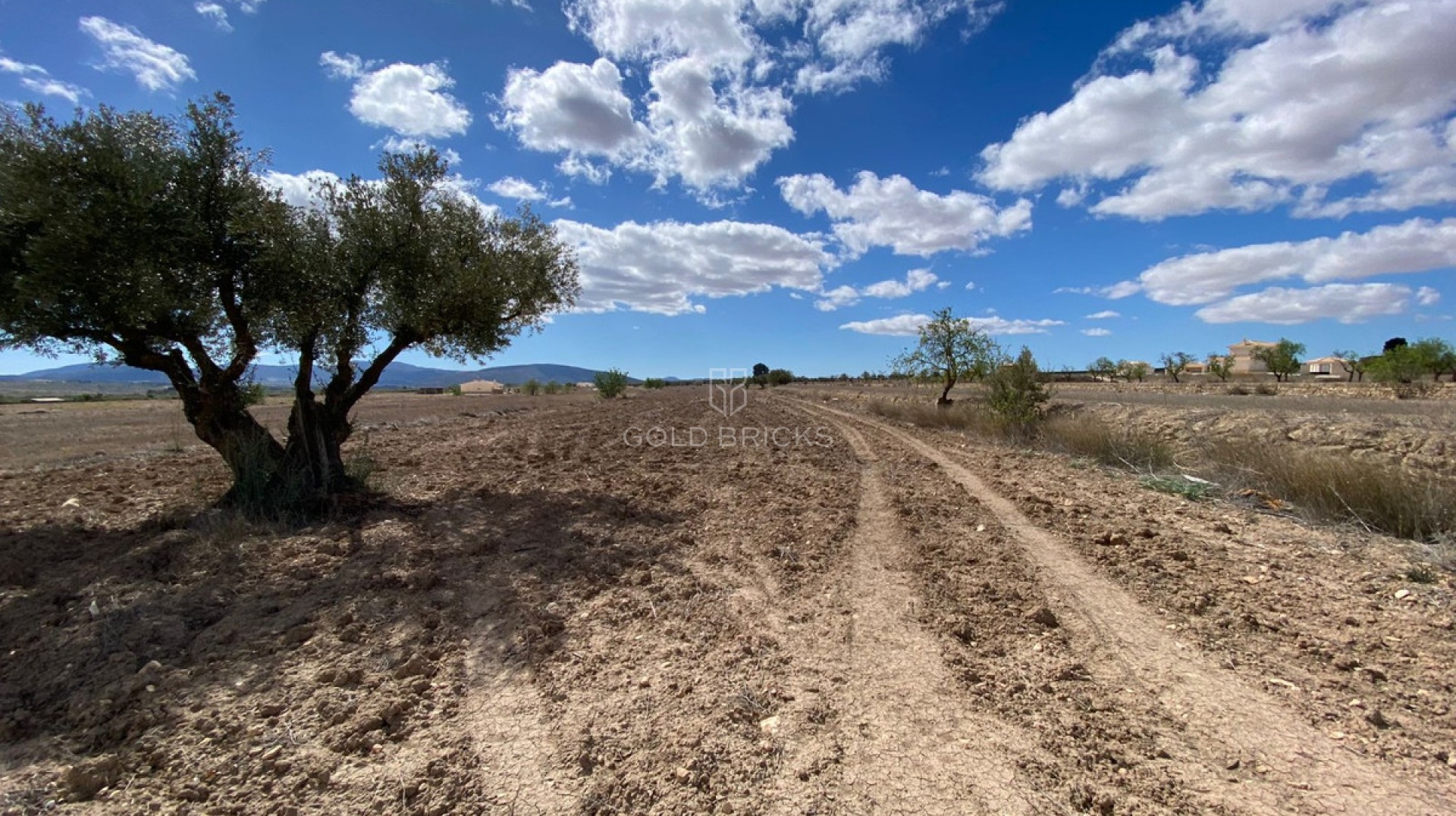  · Återförsäljning · Pinoso · Pinoso Centro