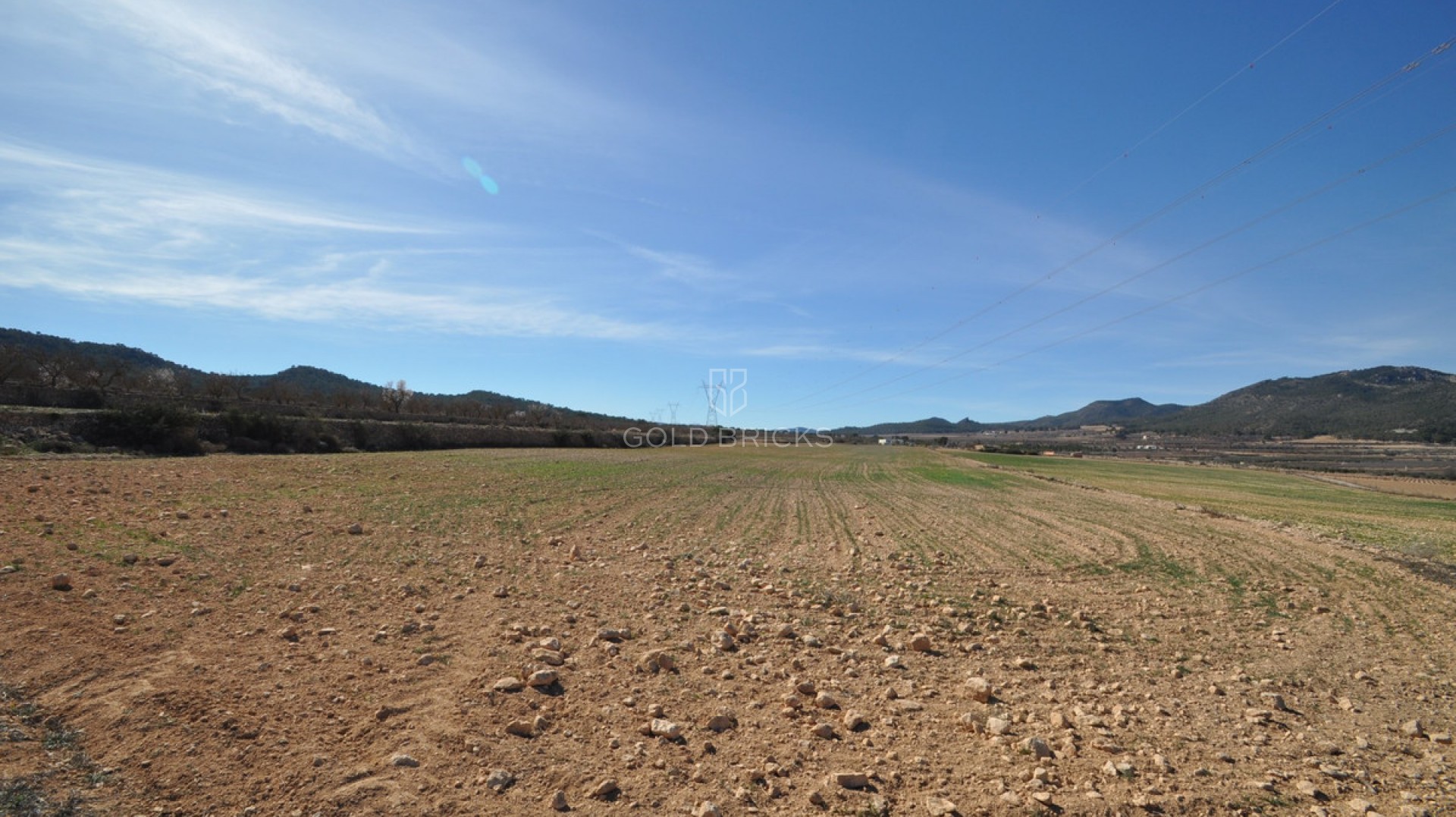  · Återförsäljning · Salinas · Salinas Centro