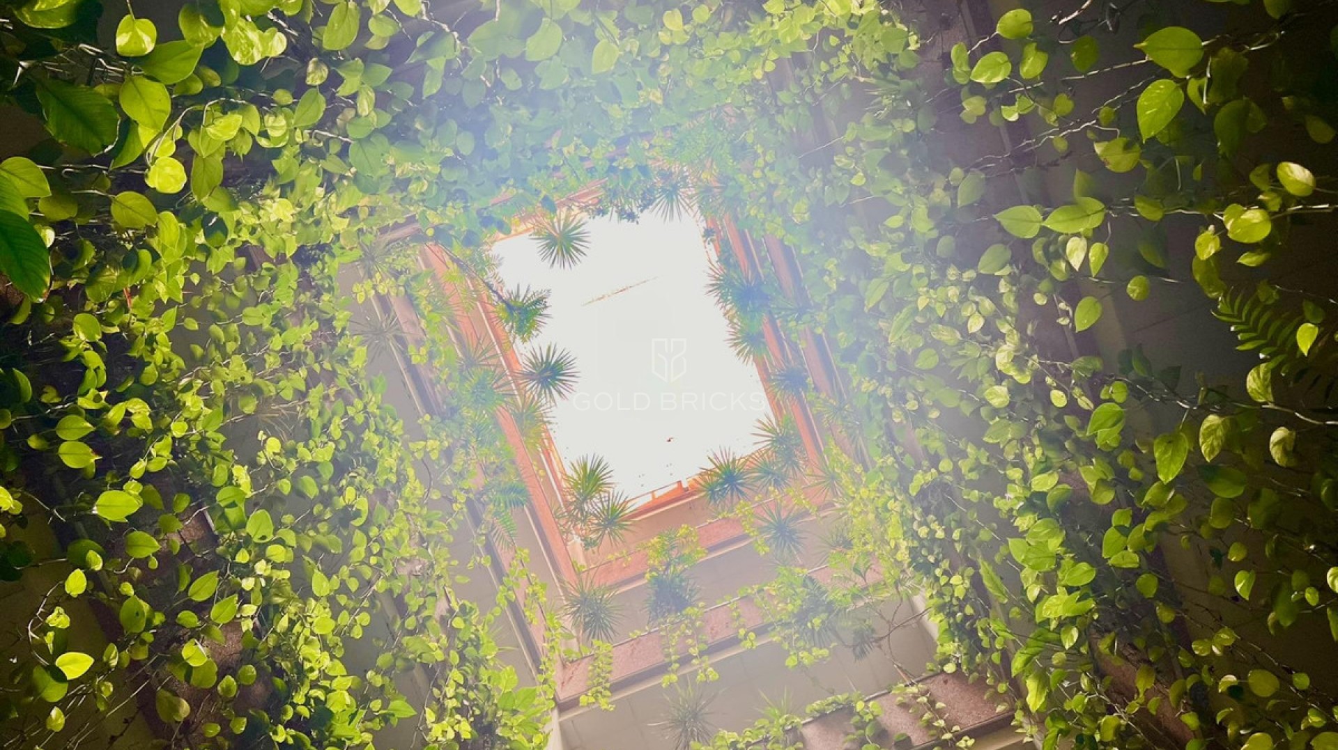  · Återförsäljning · Torrevieja · Torrevieja Centro