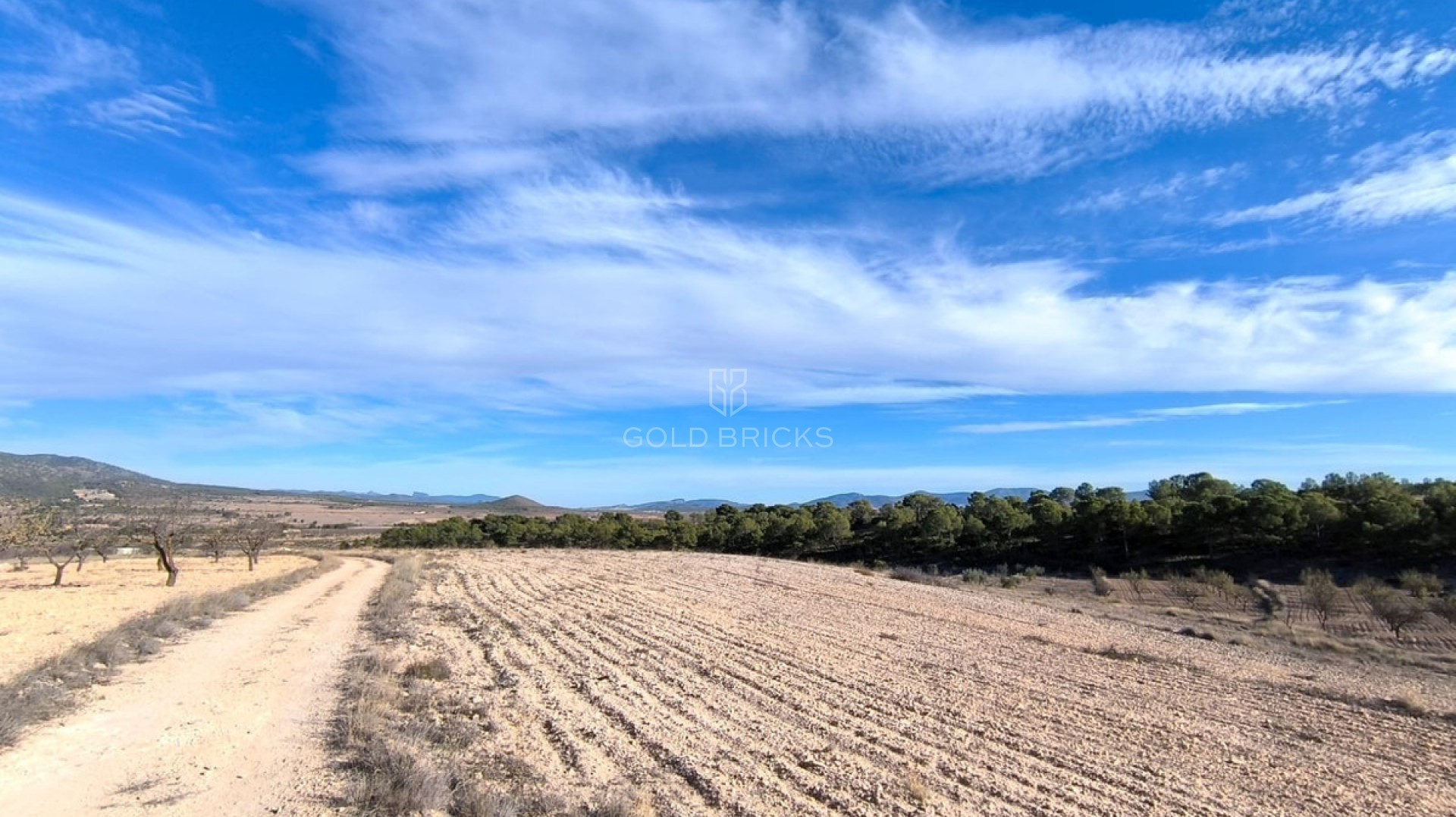  · Återförsäljning · Yecla · Raspay