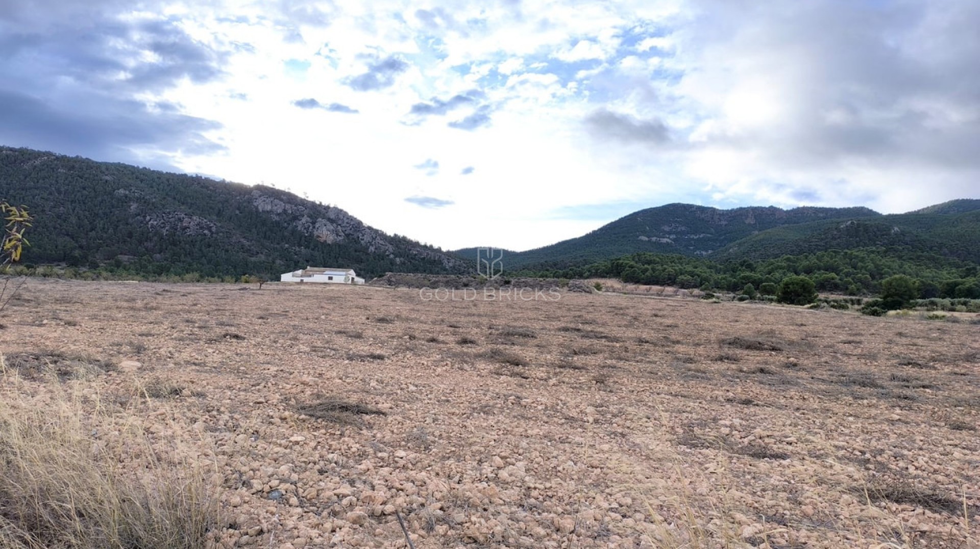  · Återförsäljning · Yecla · Yecla Centro