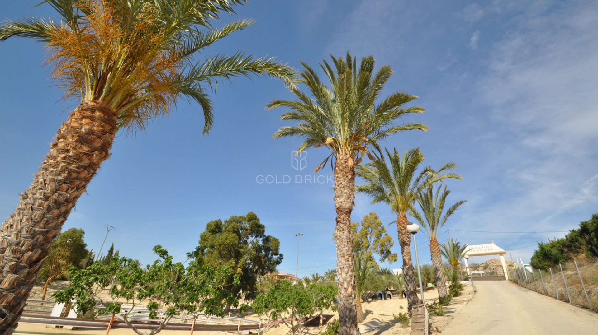 Commercial - Other · Sale · Abanilla · Abanilla Centro