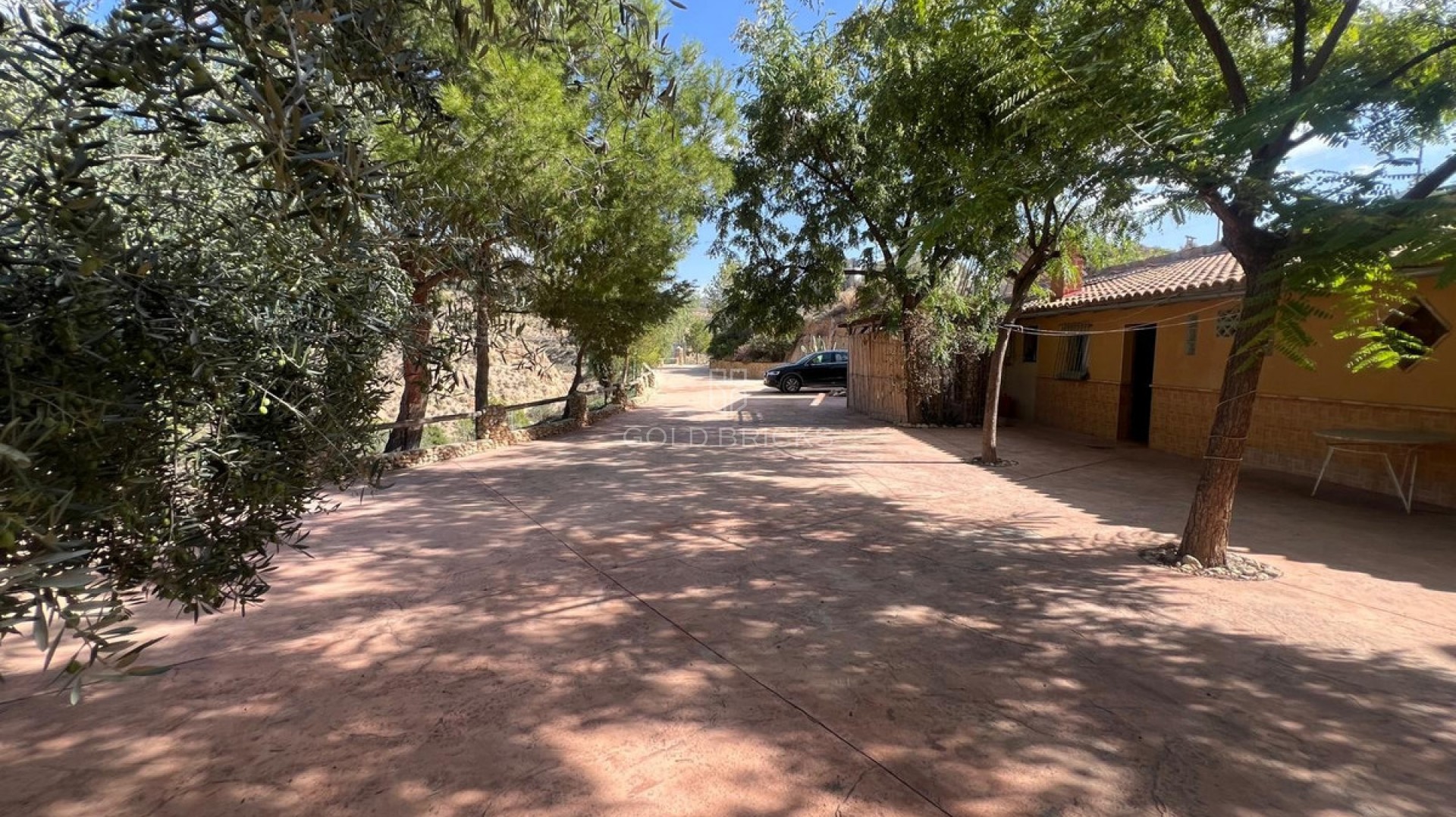 Commercial - Other · Sale · Abanilla · Abanilla Centro