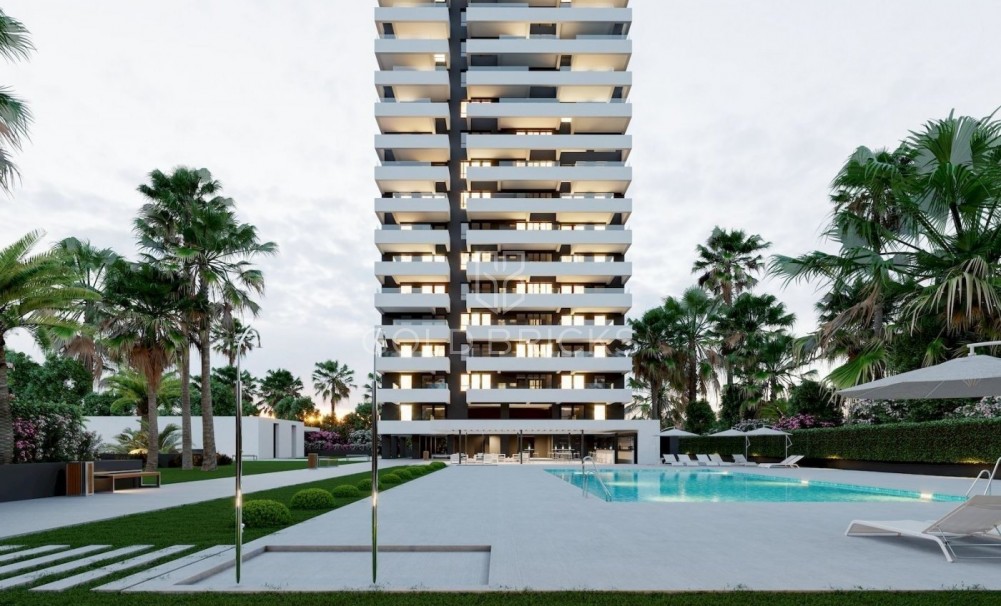 Daszek · Nowa konstrukcja · Calpe · Playa arenal-bol