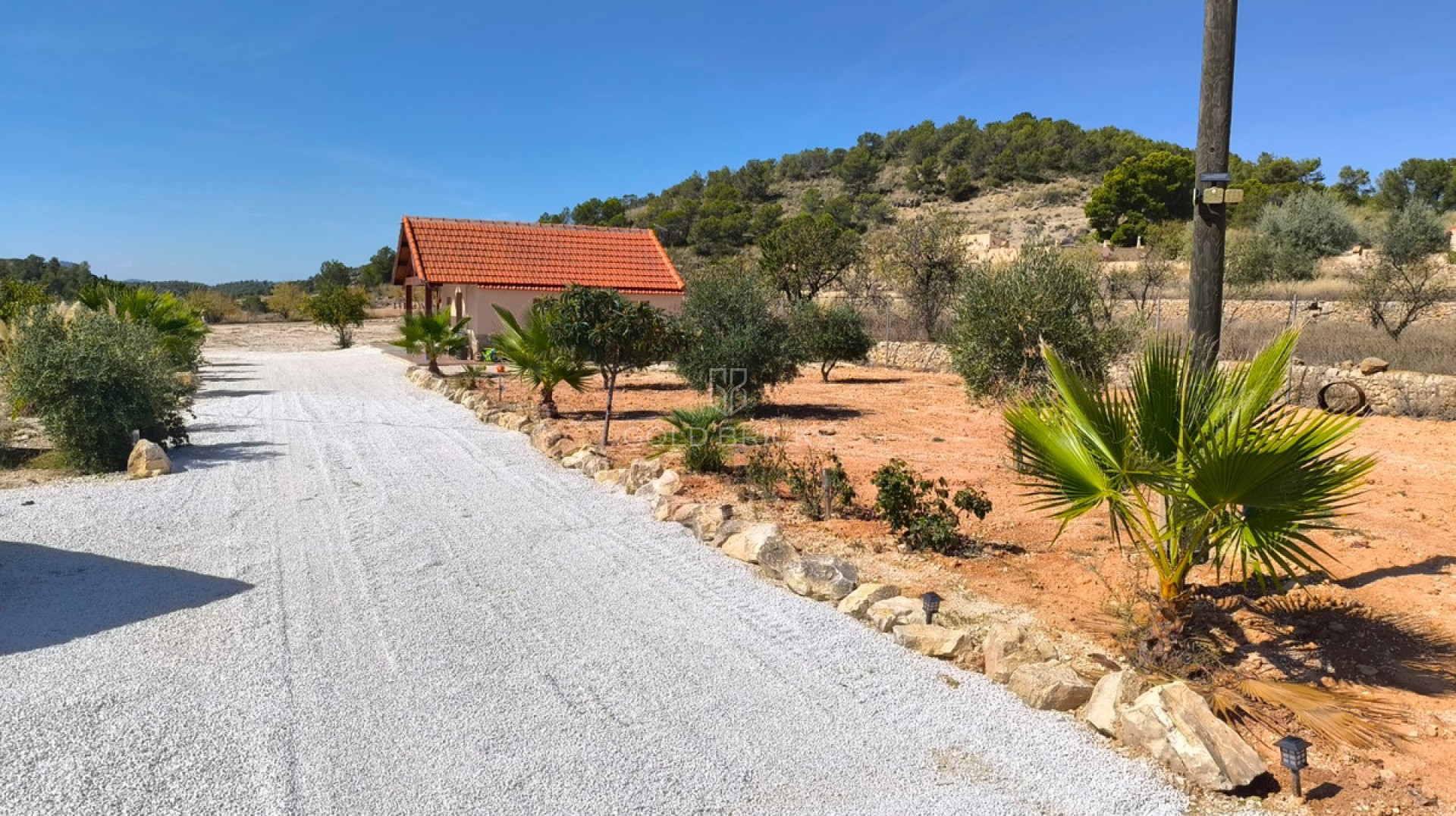 House - Detached Villa · Sale · Jumilla · La Zarza