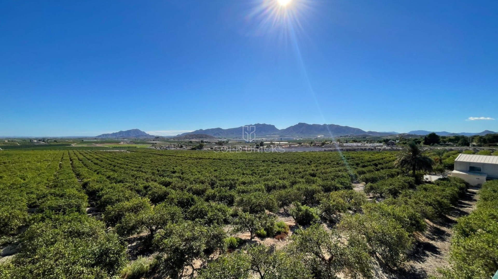 House - Detached Villa · Sale · Murcia · Murcia City