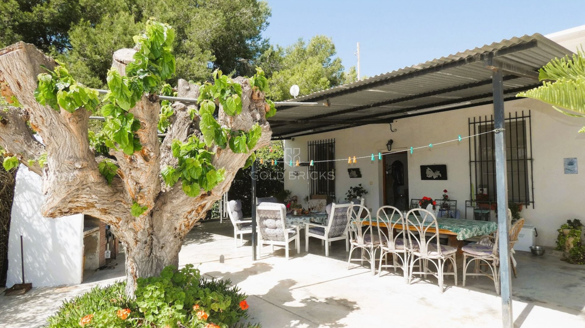 House - Finca - Cortijo · Sale · Dolores · Dolores Centro