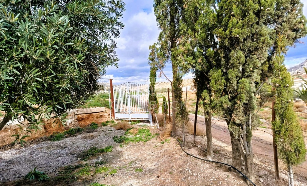 House - Finca - Cortijo · Sale · Novelda · Novelda Centro