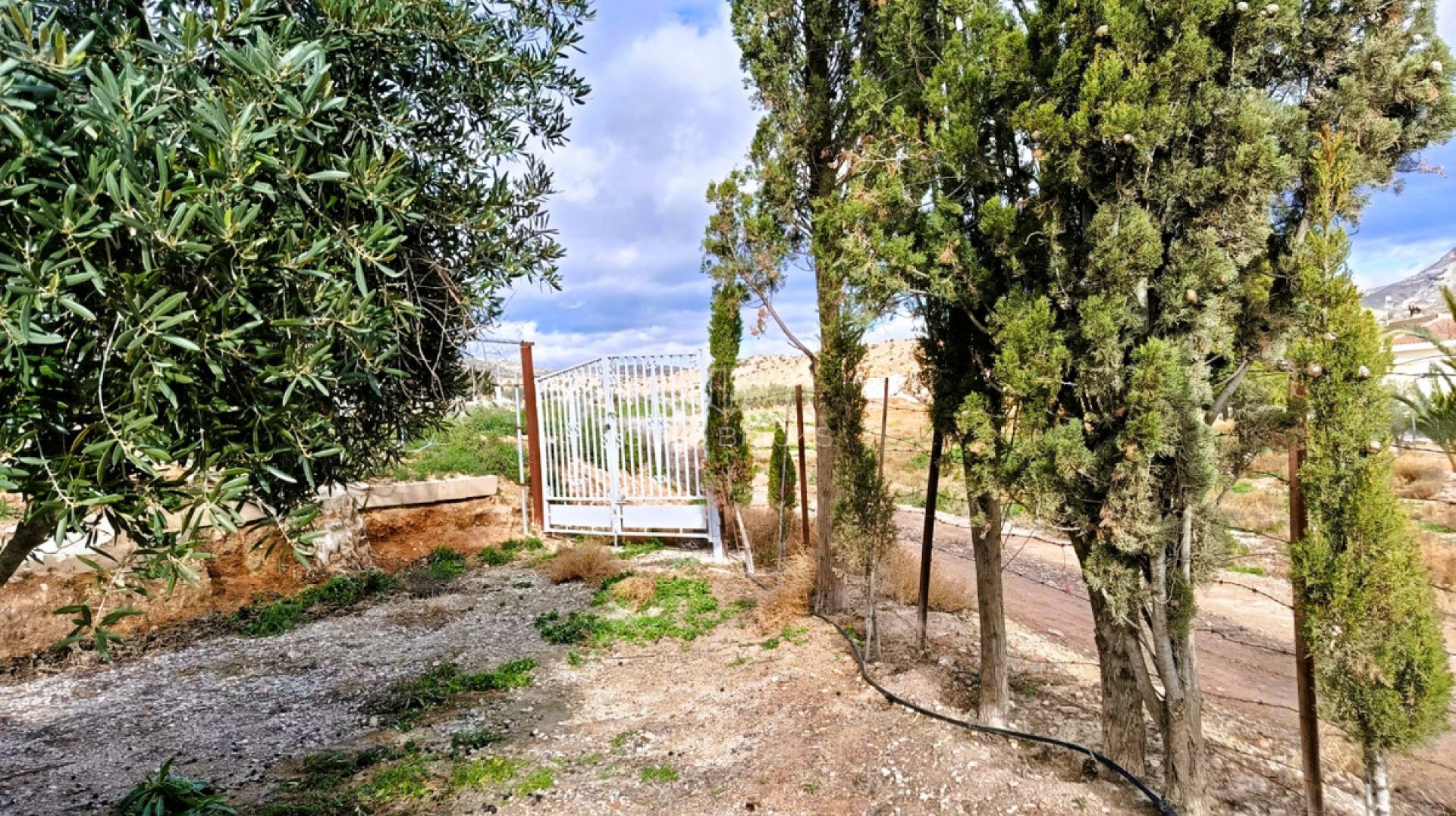 House - Finca - Cortijo · Sale · Novelda · Novelda Centro