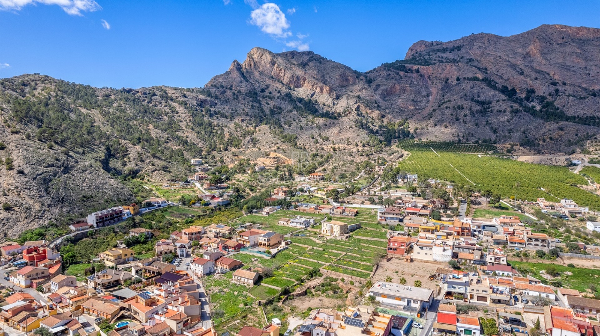 Landsbygdsgods · Återförsäljning · Orihuela · Orihuela