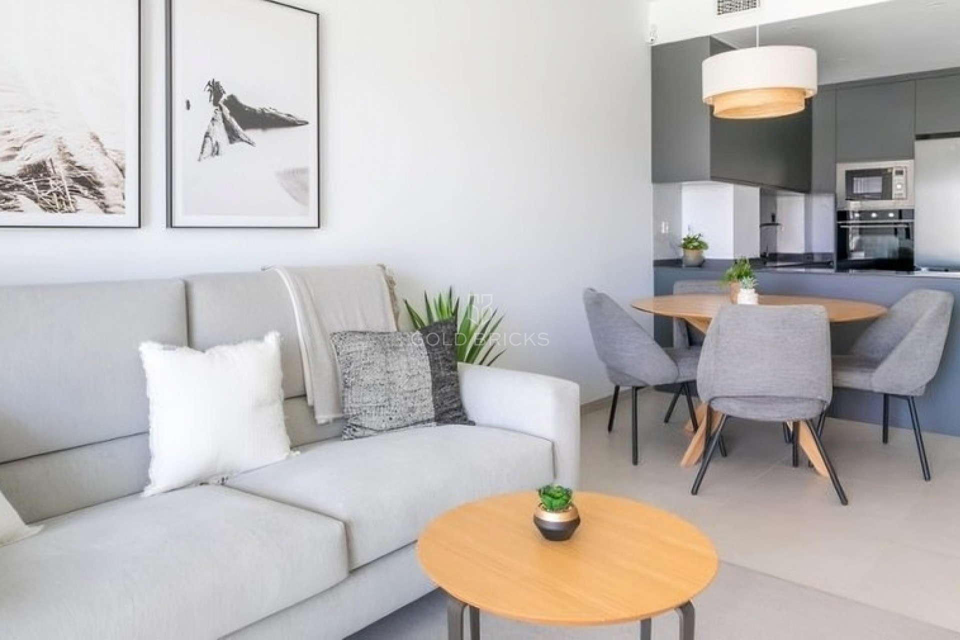 New Build · Apartment - Ground Floor Studio · Torrevieja · Torrevieja Centro