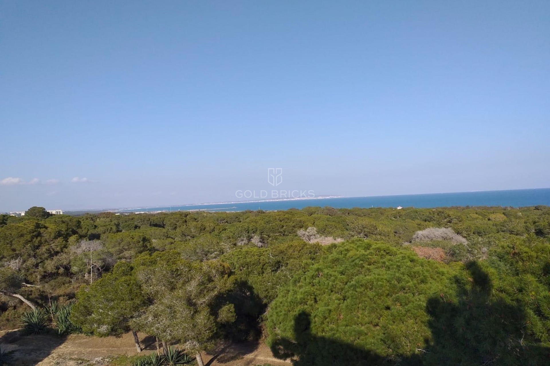 New Build · Ground floor apartment · Guardamar del Segura · Pueblo