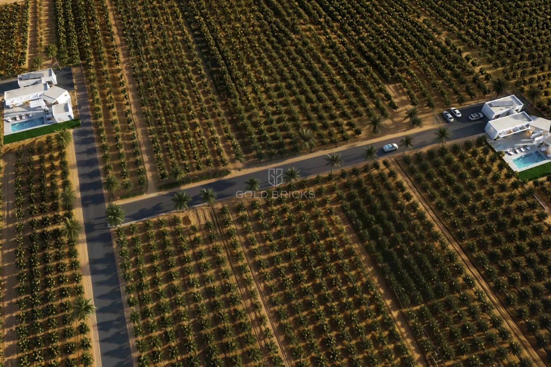 New Build · Villa · Benejúzar · alta