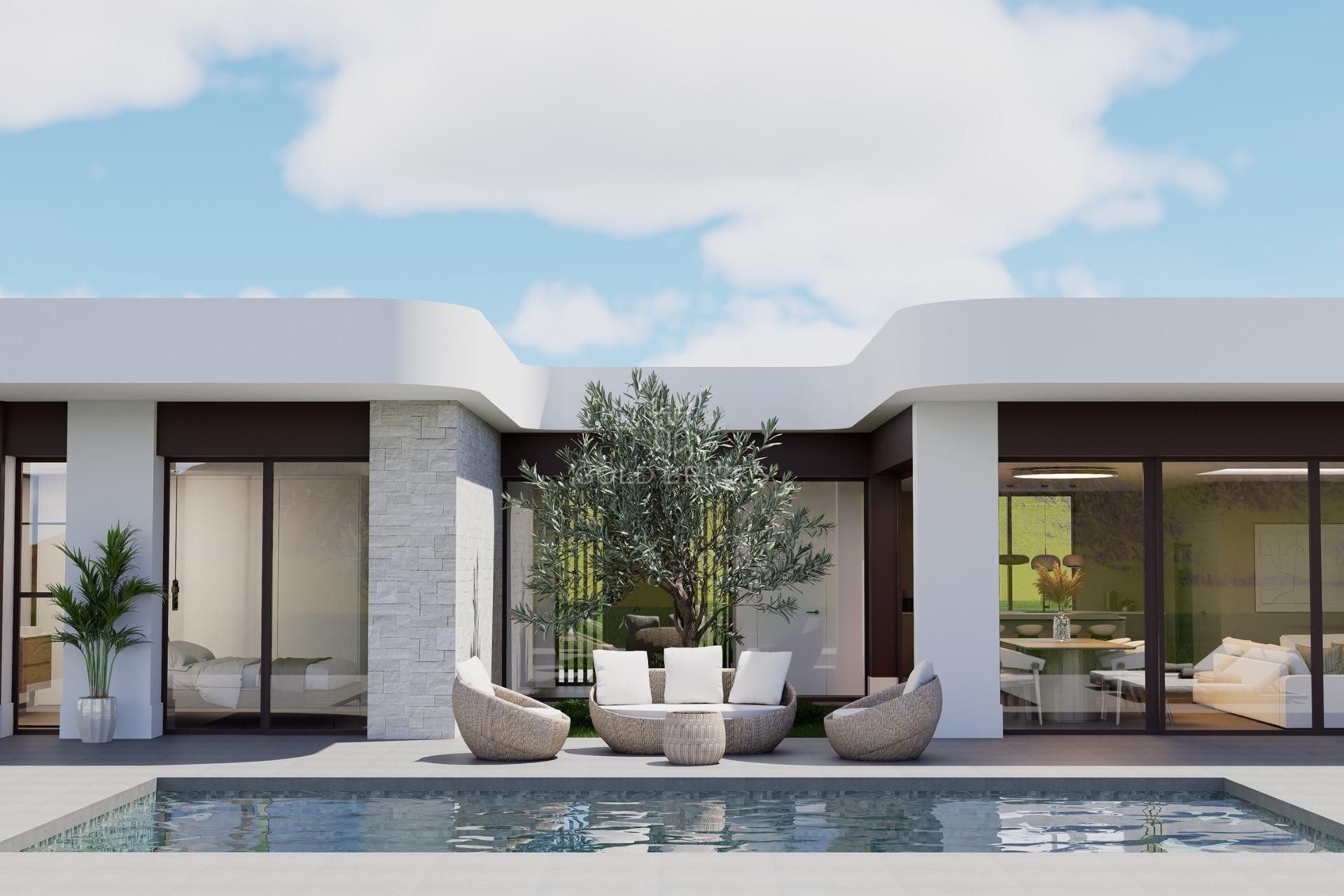 New Build · Villa · Pinoso · Lel