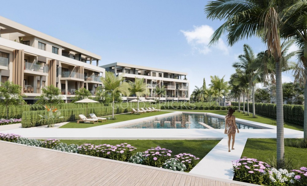 Penthouse - Nieuwbouw - Torre Pacheco - GB-40908