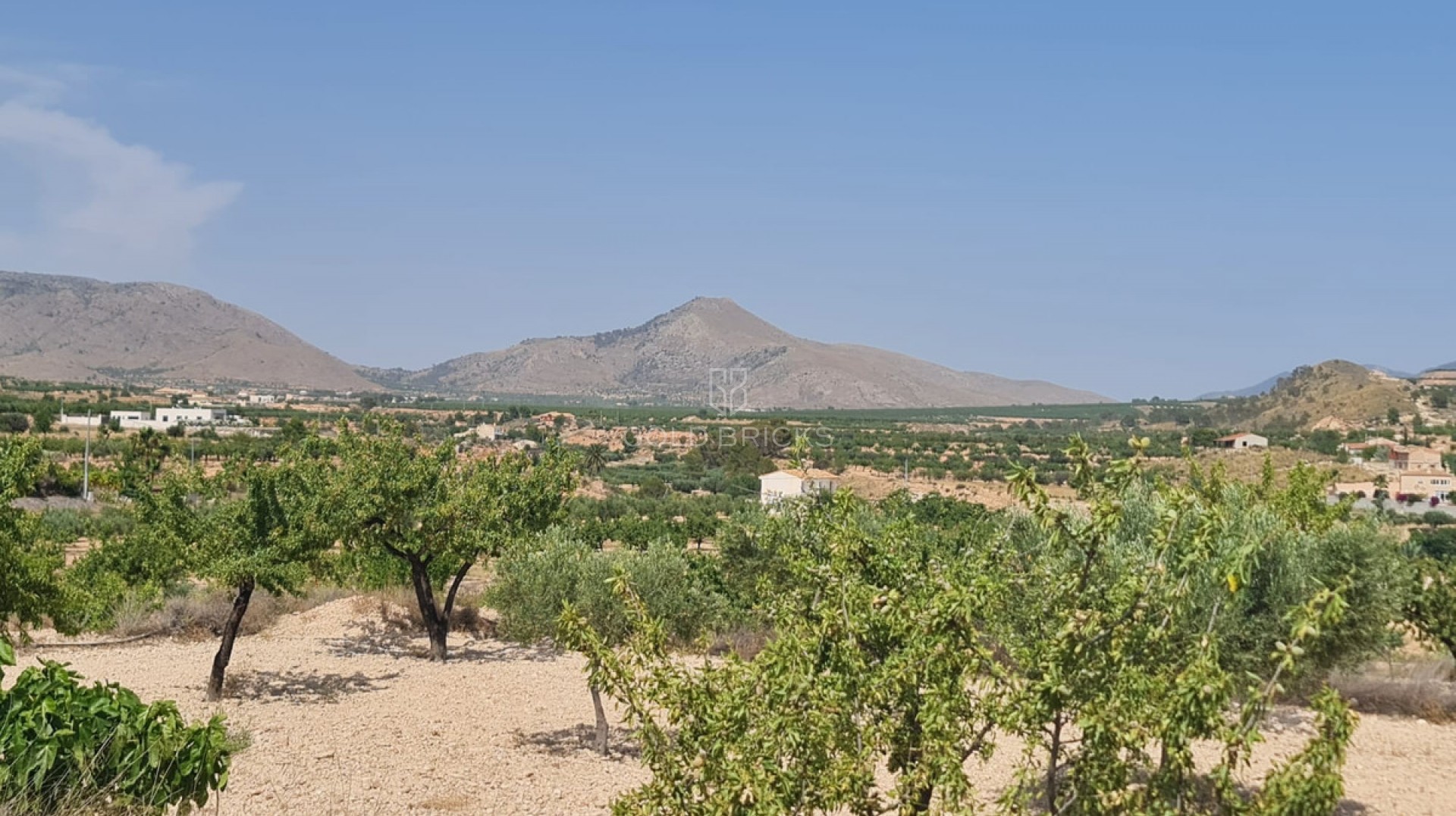 Plot - Land · Sale · Abanilla · Abanilla Centro