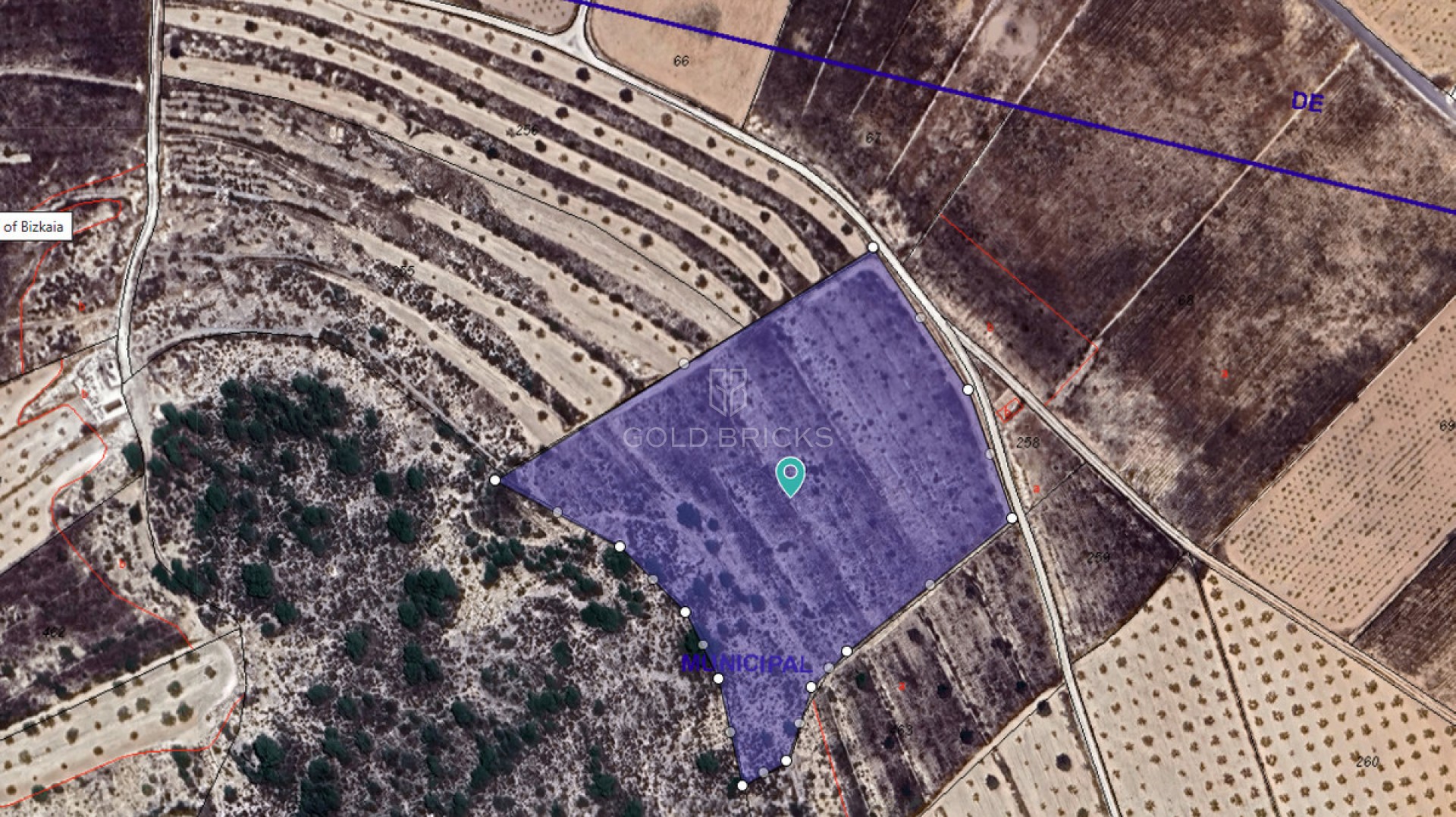 Plot - Land · Sale · Abanilla · Cañada de la Leña