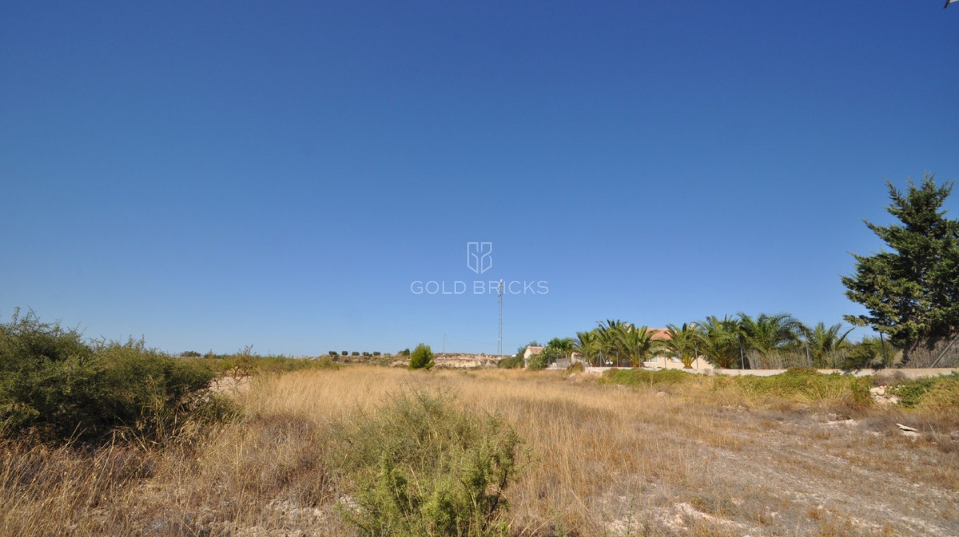 Plot - Land · Sale · Abanilla · Macisvenda