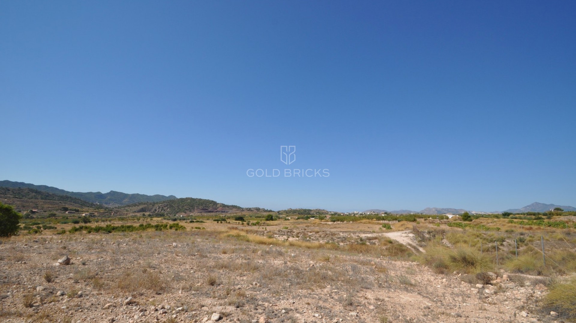 Plot - Land · Sale · Abanilla · Macisvenda