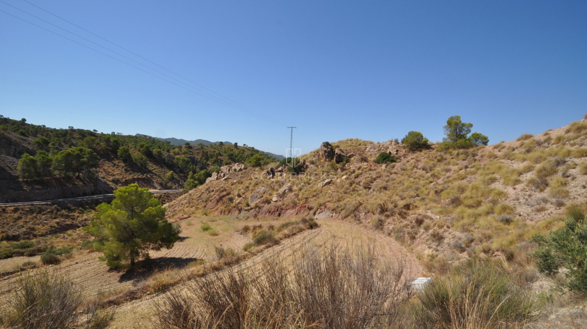 Plot - Land · Sale · Abanilla · Macisvenda