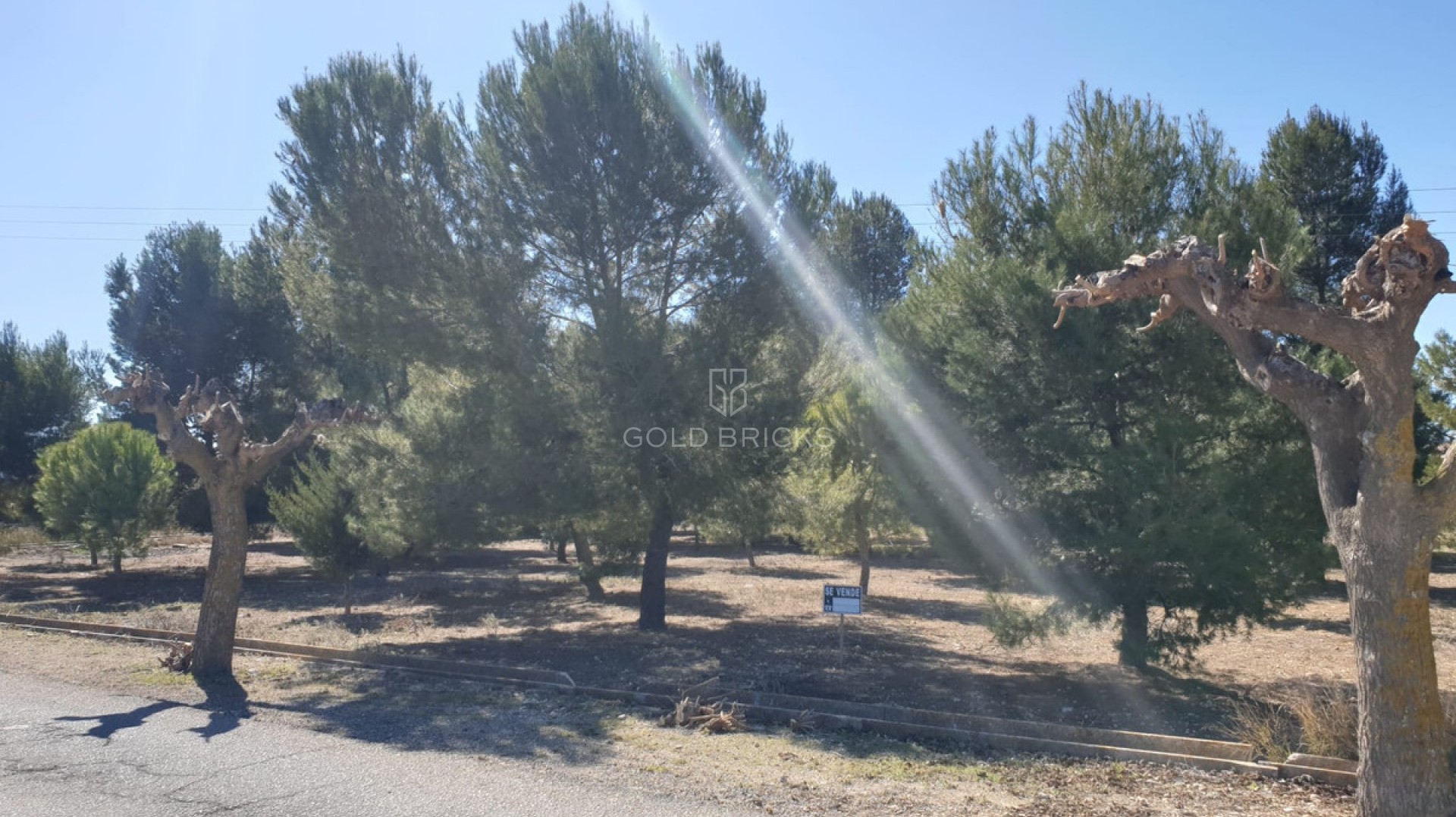 Plot - Land · Sale · Beneixama - Benejama · Beneixama - Benejama Centro