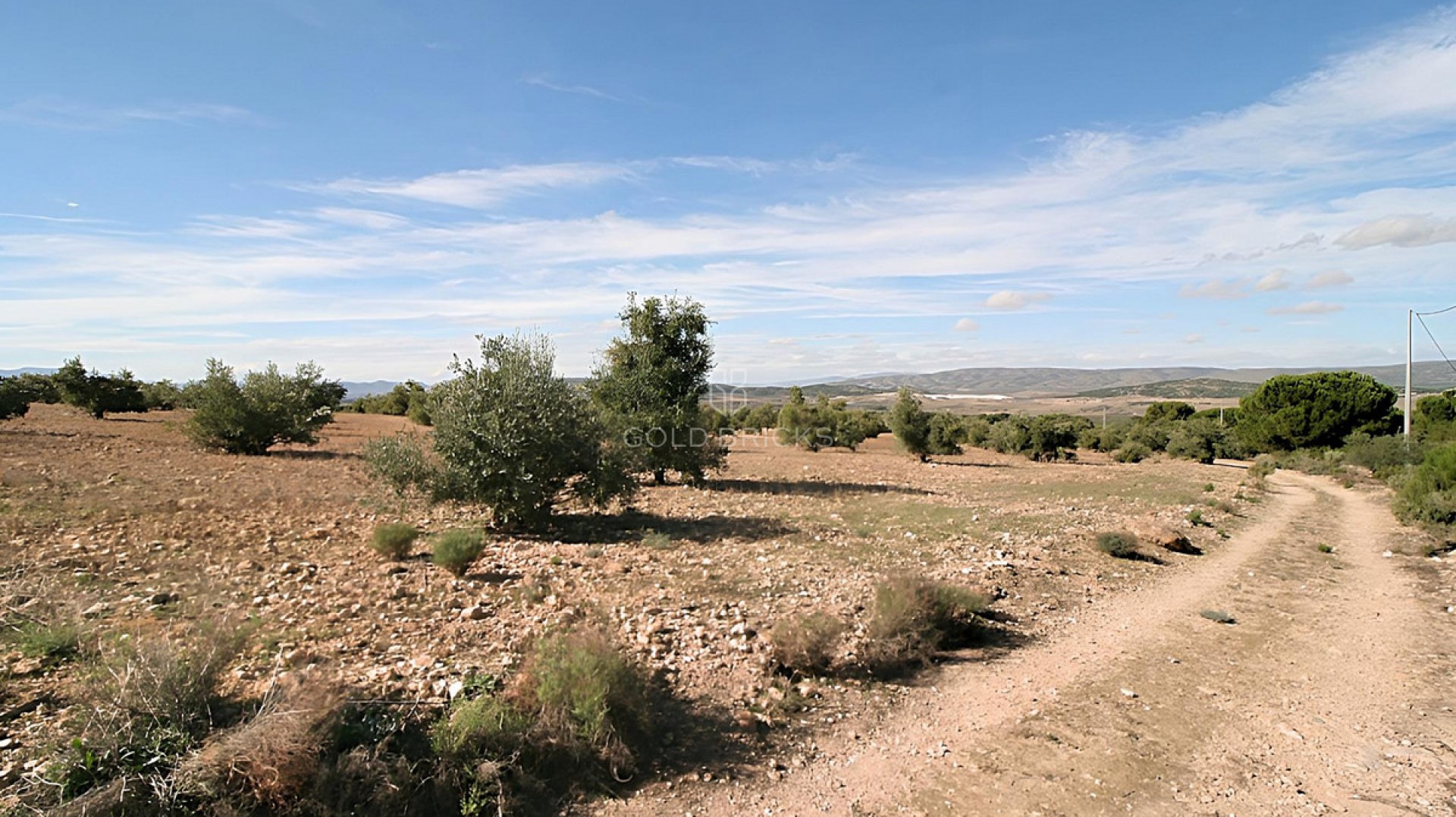 Plot - Land · Sale · Biar · Biar Centro