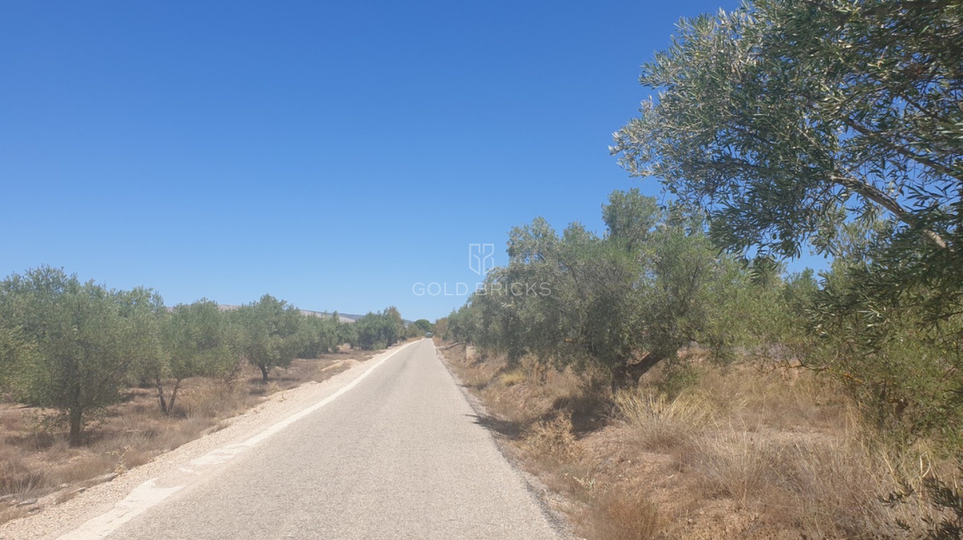 Plot - Land · Sale · Biar · Biar Centro