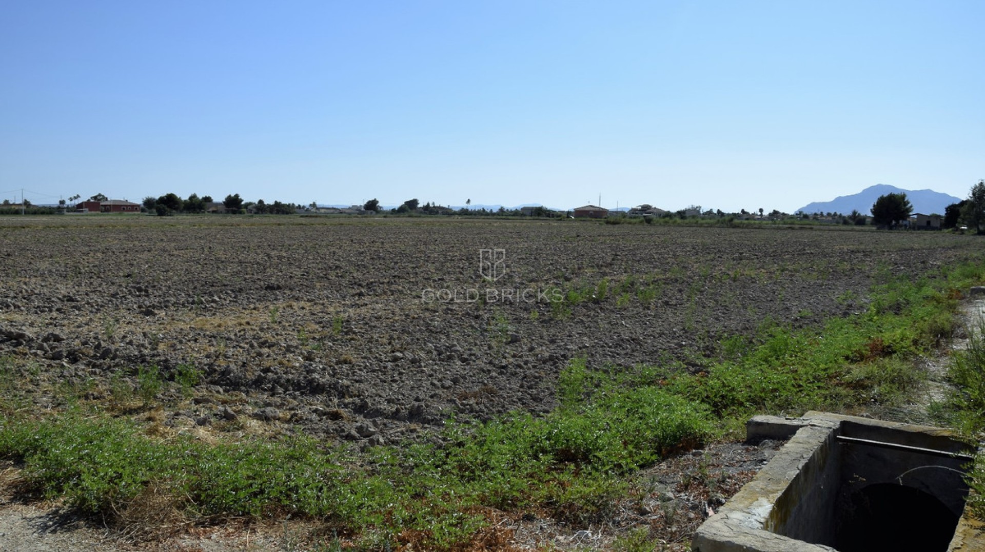Plot - Land · Sale · Catral · Catral Centro