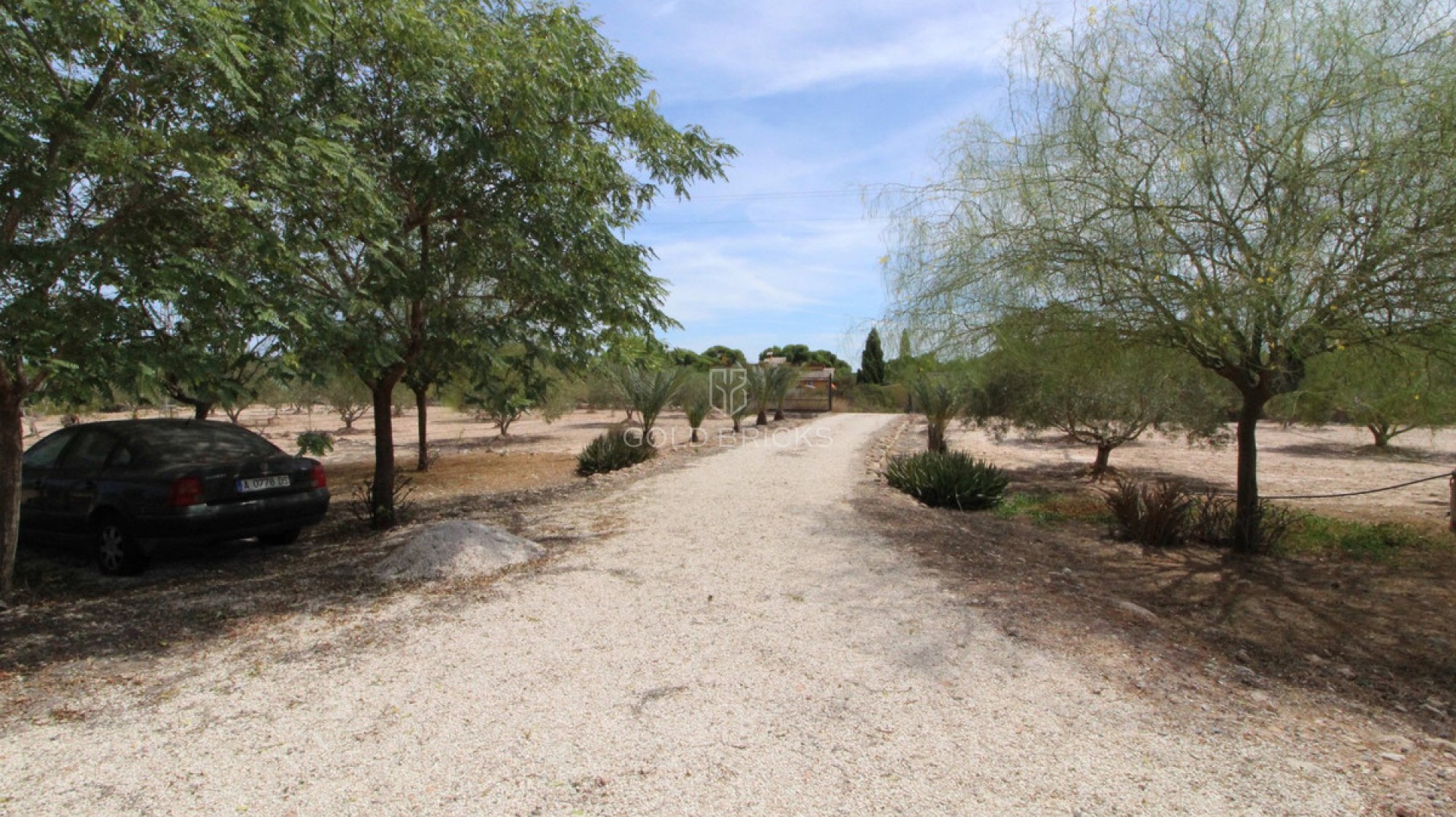 Plot - Land · Sale · Elche · Elche Centro