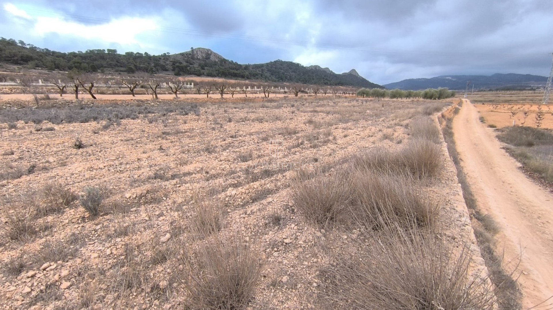 Plot - Land · Sale · Jalón · La Solana