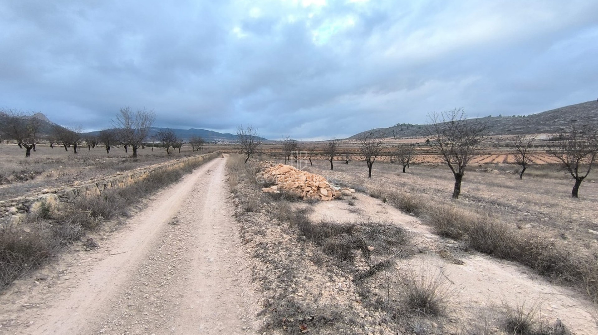 Plot - Land · Sale · Jalón · La Solana