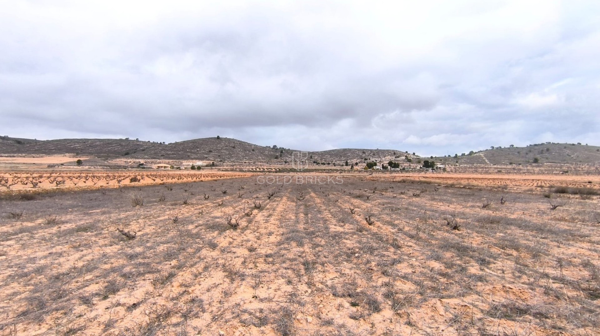 Plot - Land · Sale · Jalón · La Solana