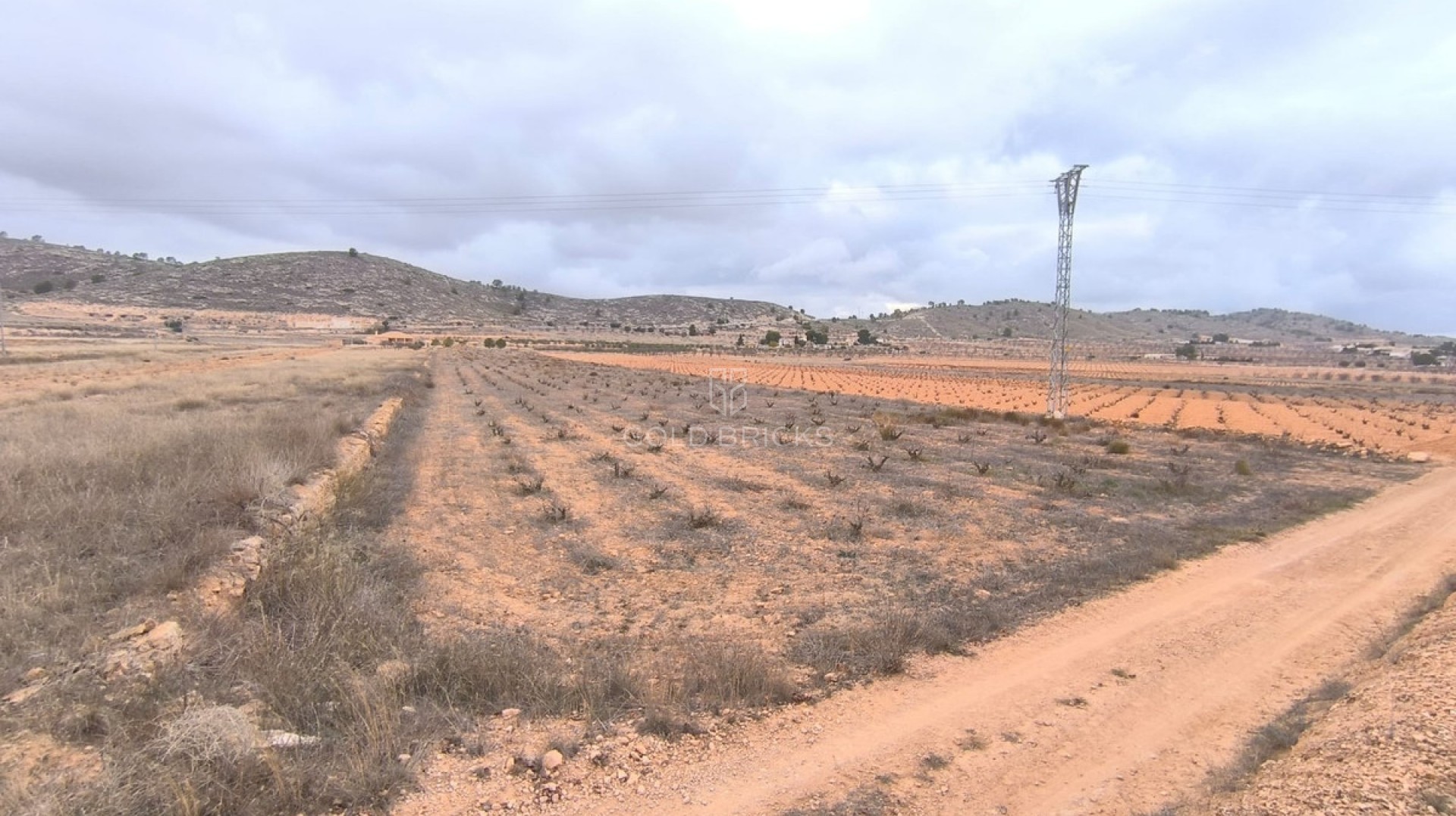 Plot - Land · Sale · Jalón · La Solana