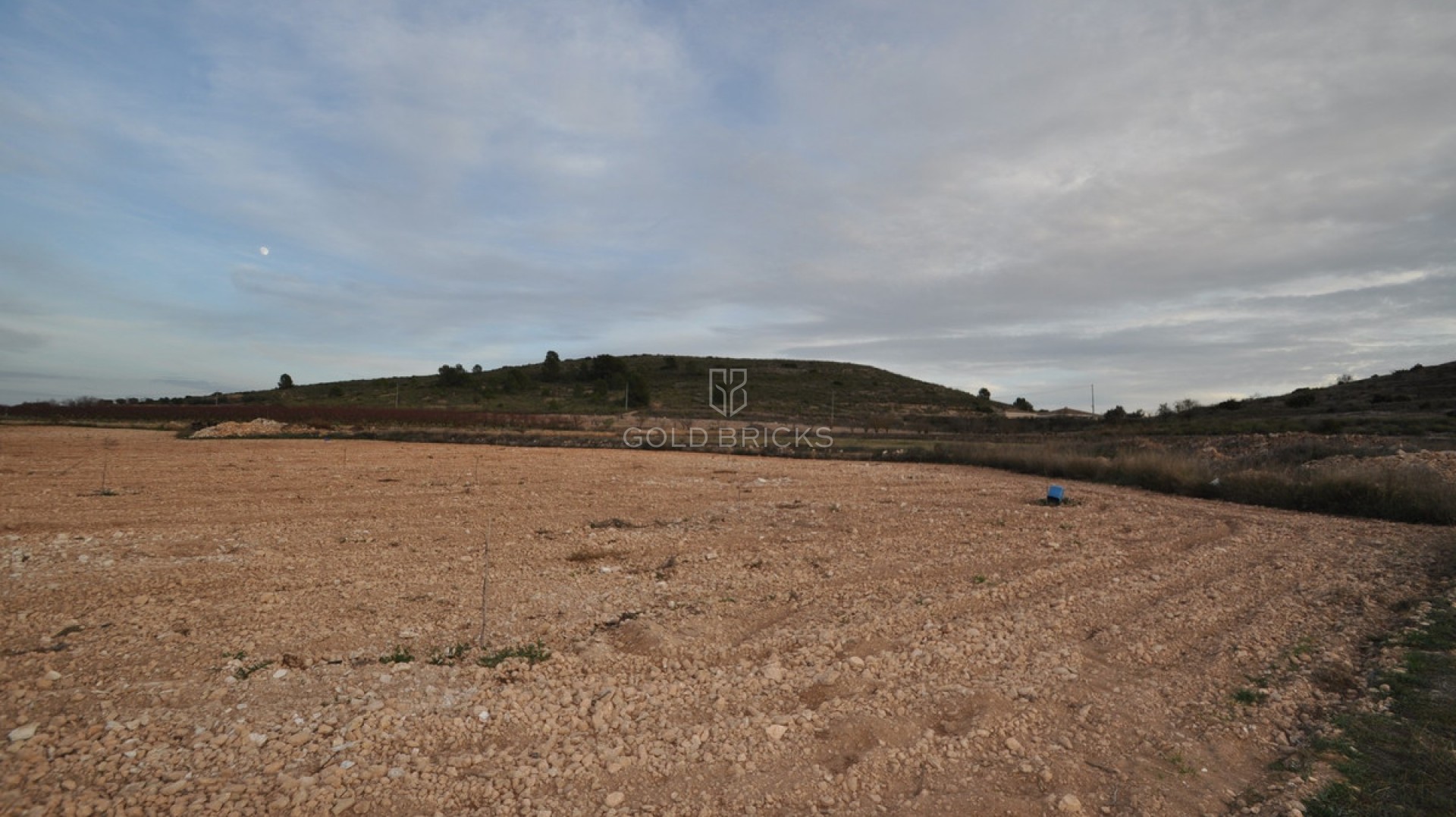 Plot - Land · Sale · Jumilla · Cañada del Trigo