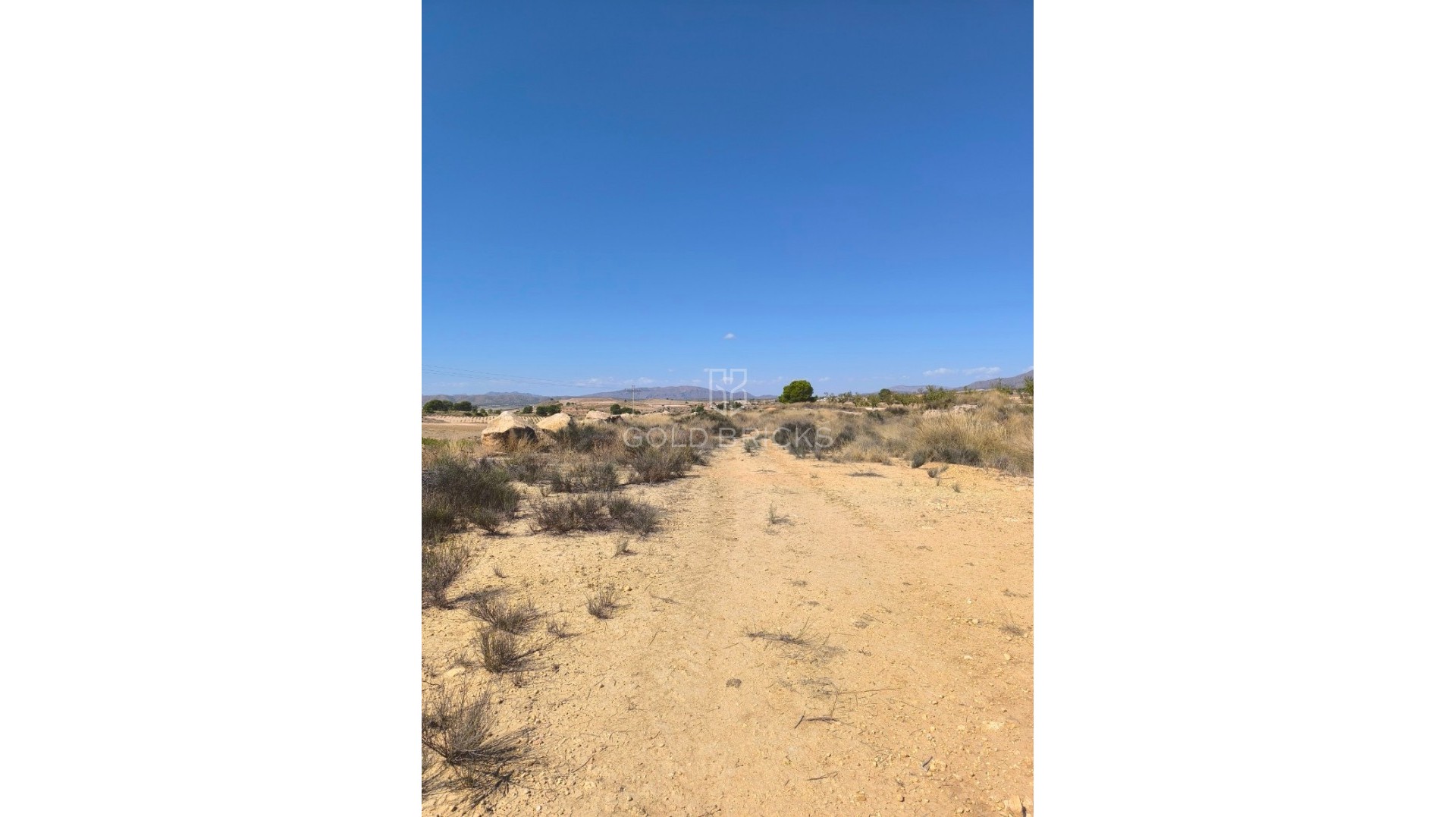 Plot - Land · Sale · Jumilla · Jumilla Centro