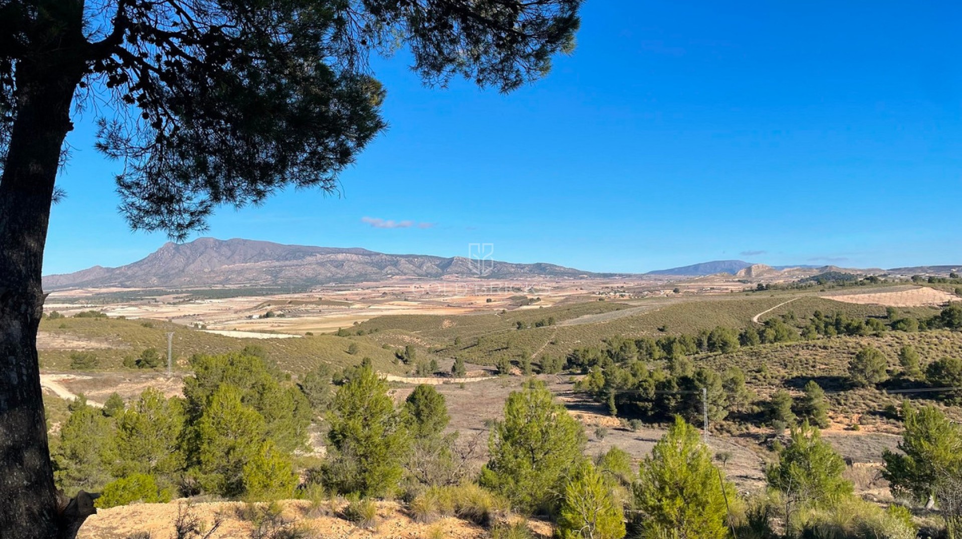 Plot - Land · Sale · Jumilla · La Zarza