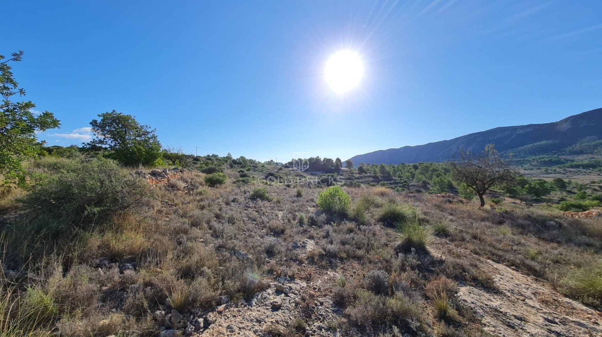 Plot - Land · Sale · La Romana · La Romana Centro