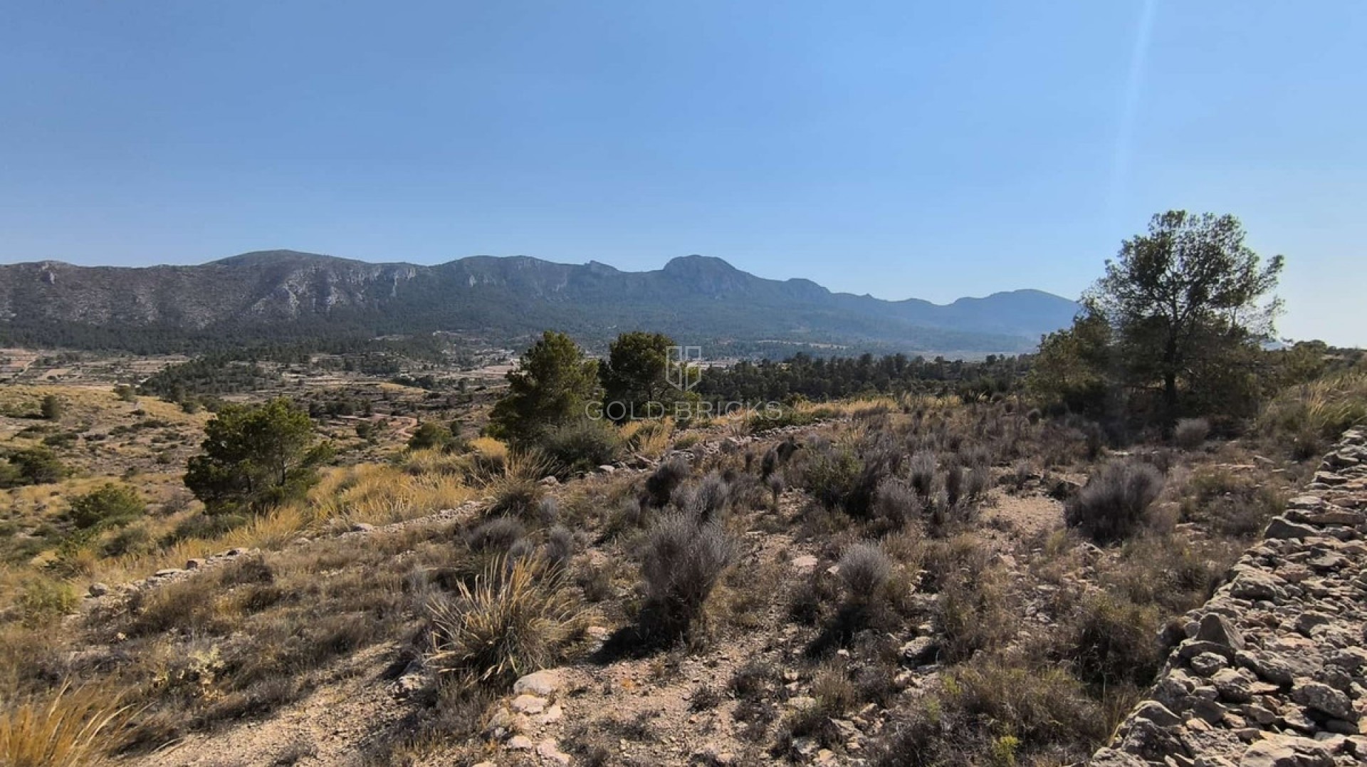 Plot - Land · Sale · La Romana · La Romana Centro